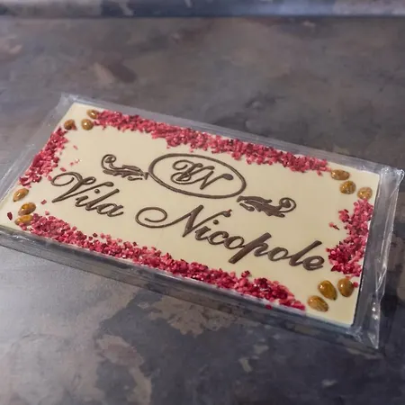 Nicopole Art & Wine Braşov