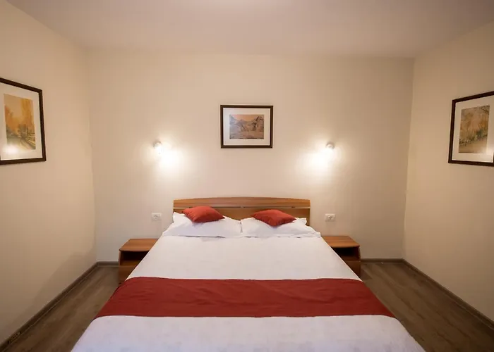 Nicopole Art&wine * Braşov