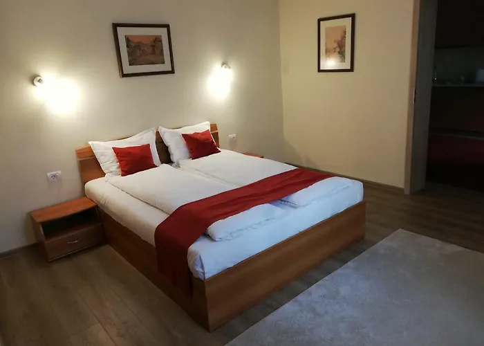 Nicopole Art & Wine בראשוב